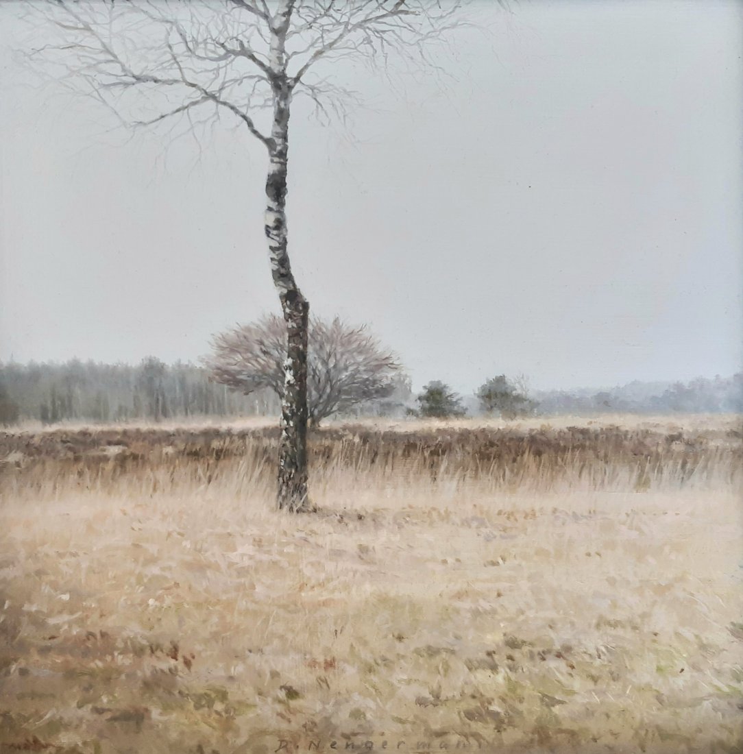 Birch, oil on panel, 23x23cm